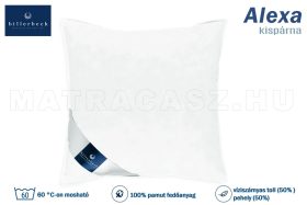 Billerbeck Alexa kispárna