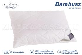 Billerbeck Bambusz nagypárna